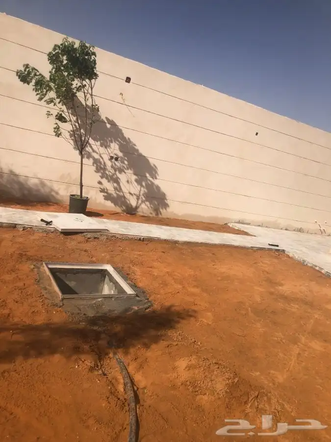 زرع طبيعي واشجار طبيعيه وشبكات راي وثيل طبيعي 26