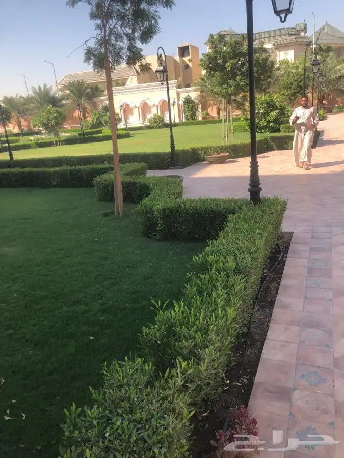زرع طبيعي واشجار طبيعيه وشبكات راي وثيل طبيعي 12