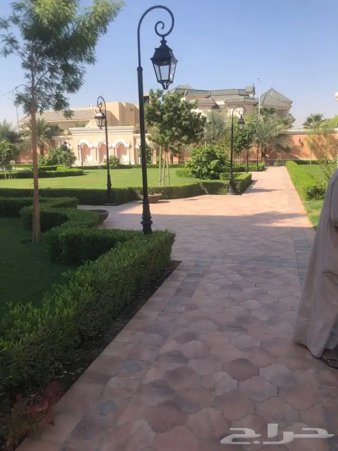 زرع طبيعي واشجار طبيعيه وشبكات راي وثيل طبيعي 5