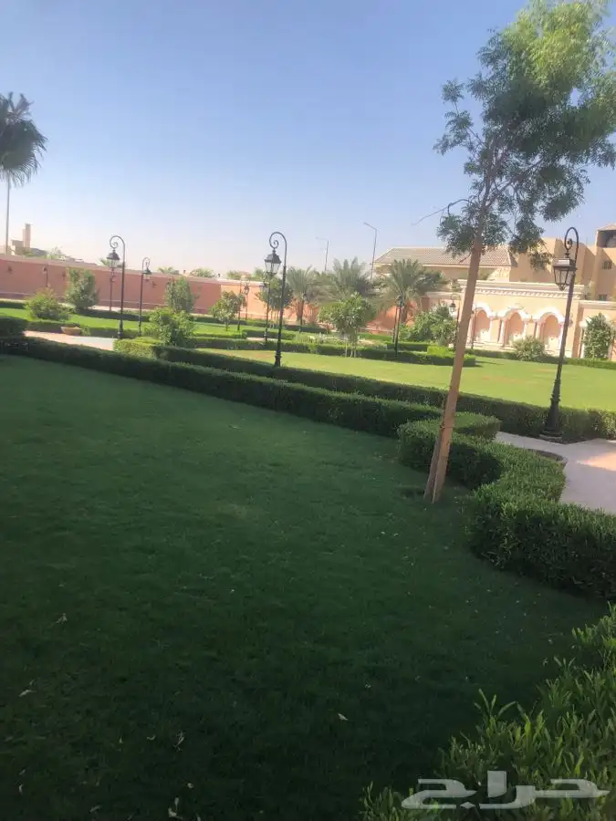 زرع طبيعي واشجار طبيعيه وشبكات راي وثيل طبيعي 13