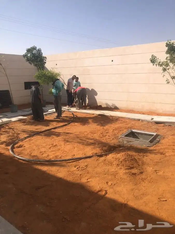 زرع طبيعي واشجار طبيعيه وشبكات راي وثيل طبيعي 25