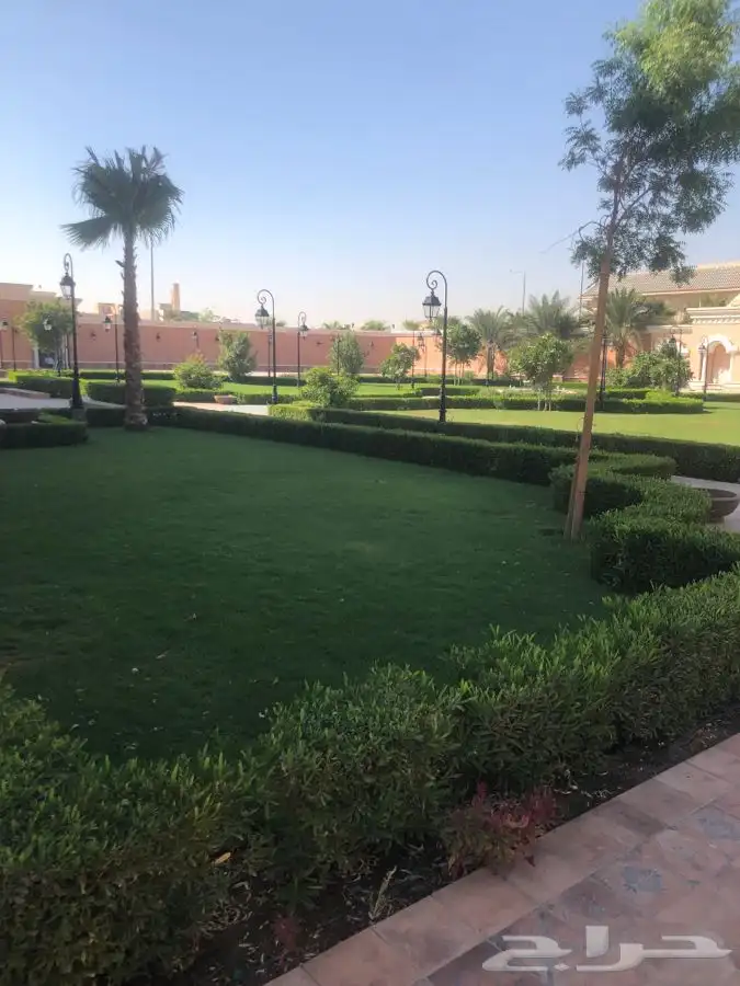 زرع طبيعي واشجار طبيعيه وشبكات راي وثيل طبيعي 0