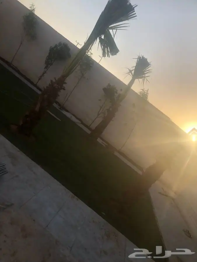زرع طبيعي واشجار طبيعيه وشبكات راي وثيل طبيعي 21
