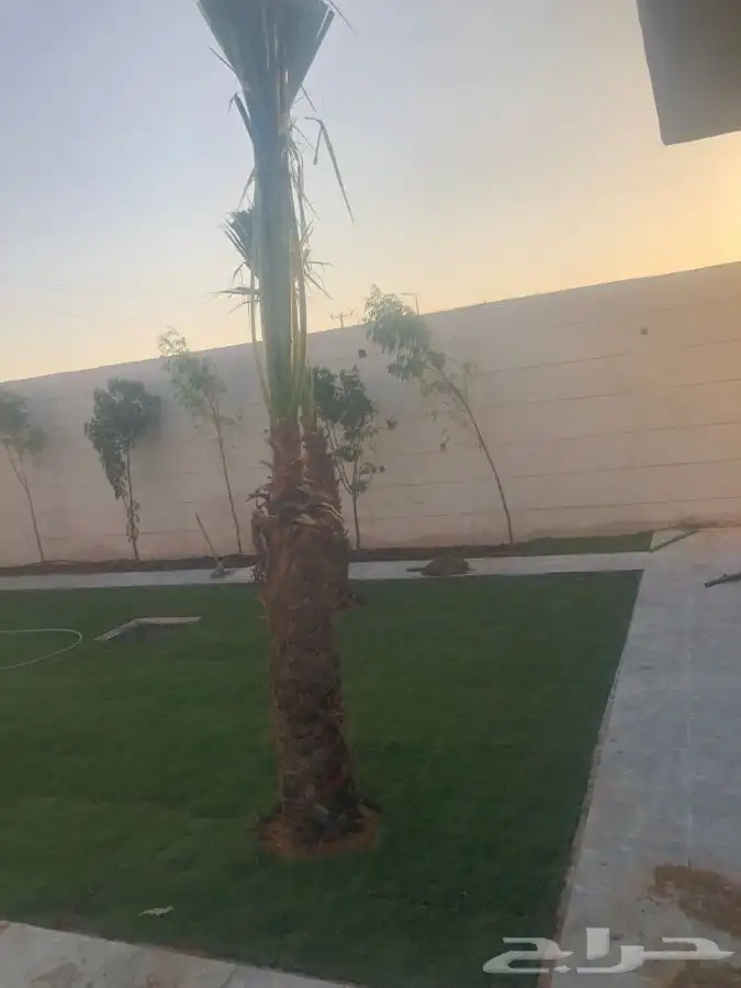زرع طبيعي واشجار طبيعيه وشبكات راي وثيل طبيعي 22
