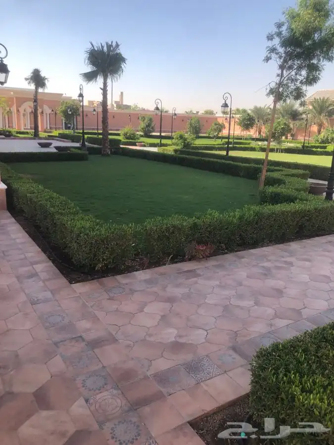زرع طبيعي واشجار طبيعيه وشبكات راي وثيل طبيعي 9