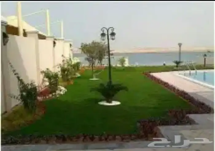 زرع طبيعي واشجار طبيعيه وشبكات راي وثيل طبيعي 35