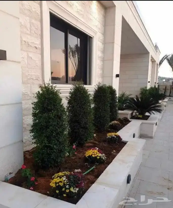 زرع طبيعي واشجار طبيعيه وشبكات راي وثيل طبيعي 34
