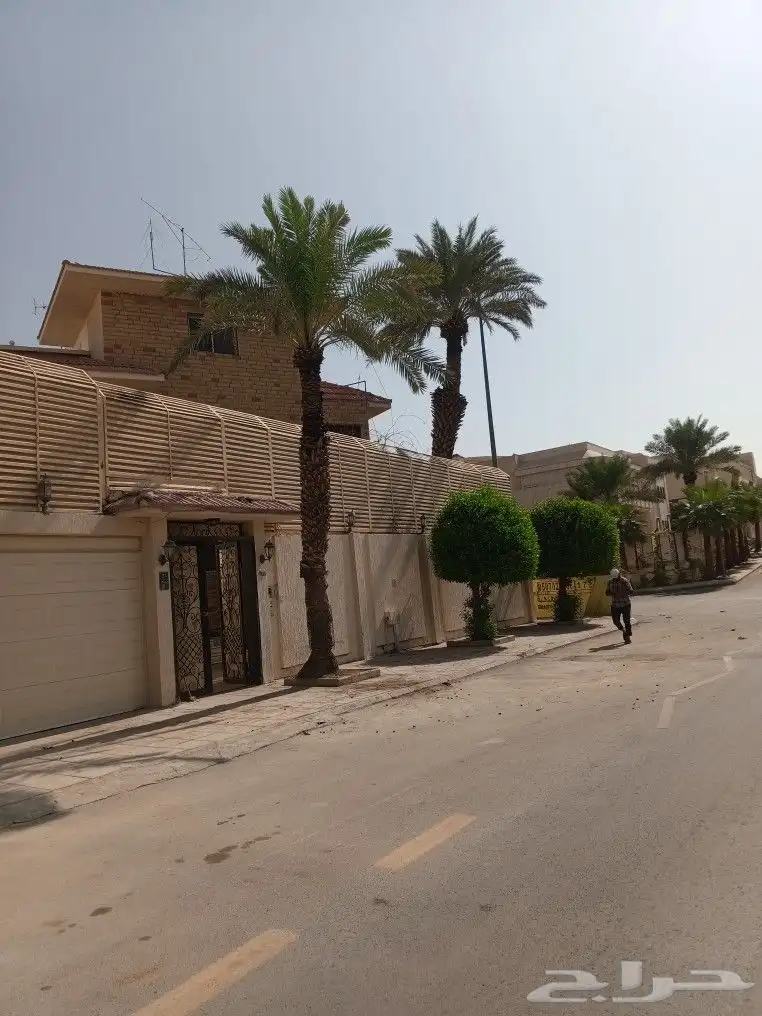 تكريب النخيل وترتيب الاشجار 1