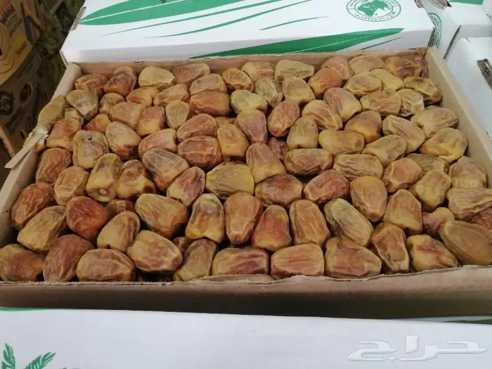 تمر سكري درجه اولى 0