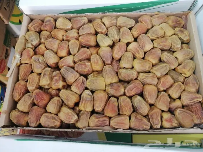تمر سكري درجه اولى 1
