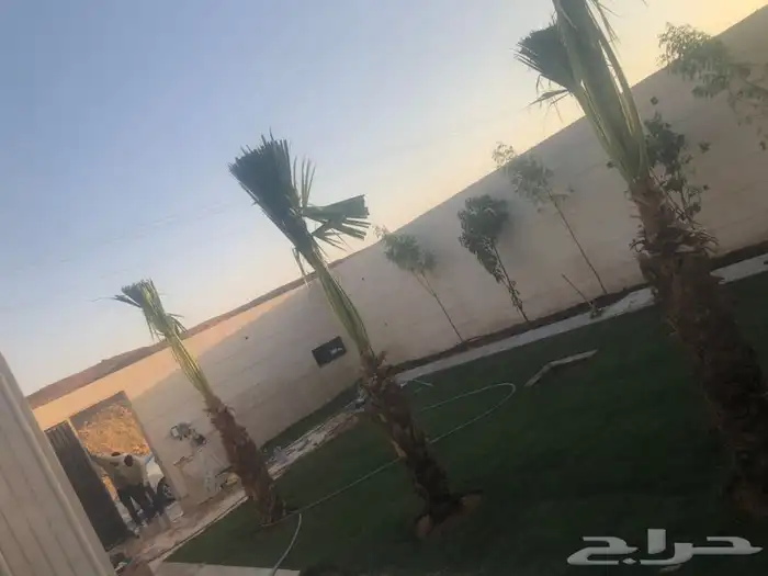 زرع طبيعي واشجار طبيعيه وشبكات راي وثيل طبيعي 17