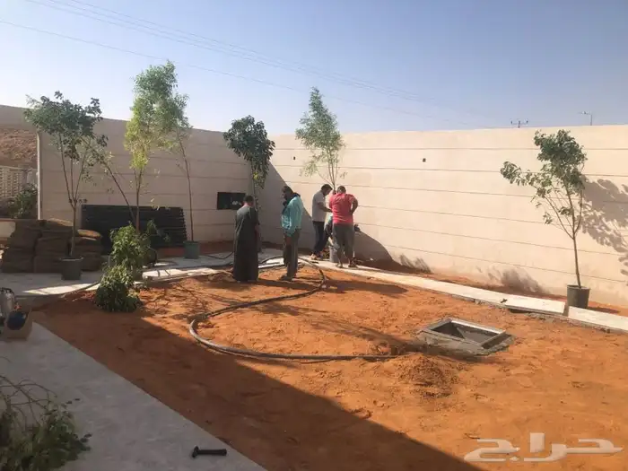 زرع طبيعي واشجار طبيعيه وشبكات راي وثيل طبيعي 28