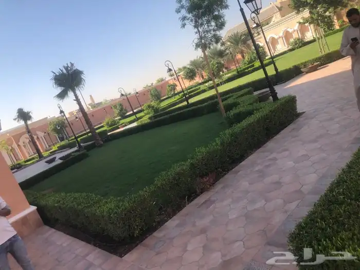 زرع طبيعي واشجار طبيعيه وشبكات راي وثيل طبيعي 10