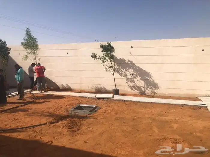 زرع طبيعي واشجار طبيعيه وشبكات راي وثيل طبيعي 30