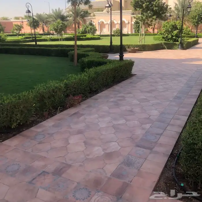 زرع طبيعي واشجار طبيعيه وشبكات راي وثيل طبيعي 3