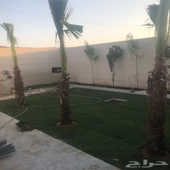 زرع طبيعي واشجار طبيعيه وشبكات راي وثيل طبيعي 24