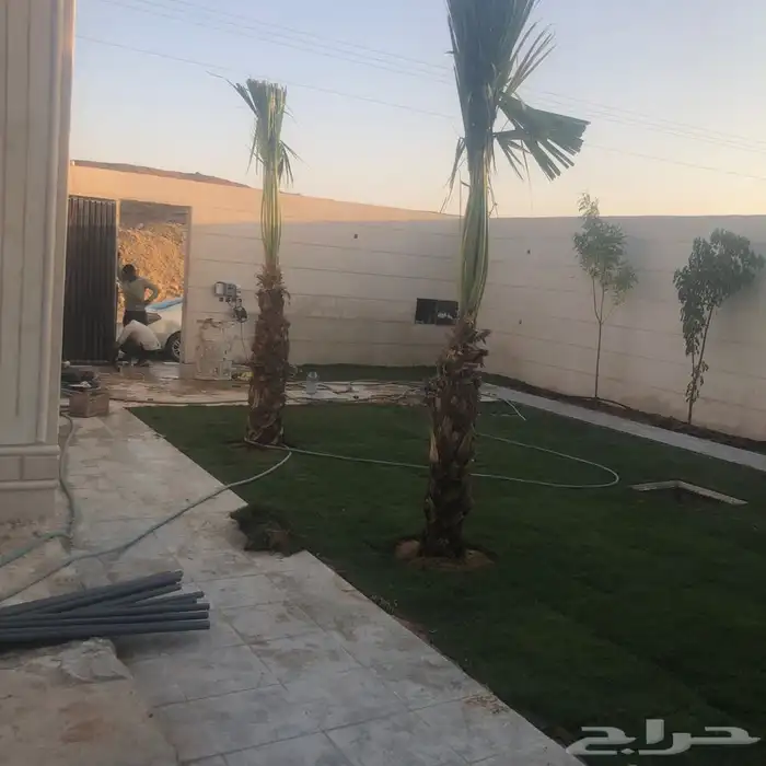 زرع طبيعي واشجار طبيعيه وشبكات راي وثيل طبيعي 16