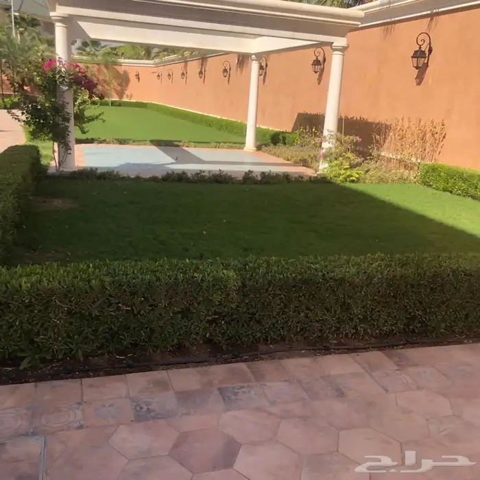 زرع طبيعي واشجار طبيعيه وشبكات راي وثيل طبيعي 2