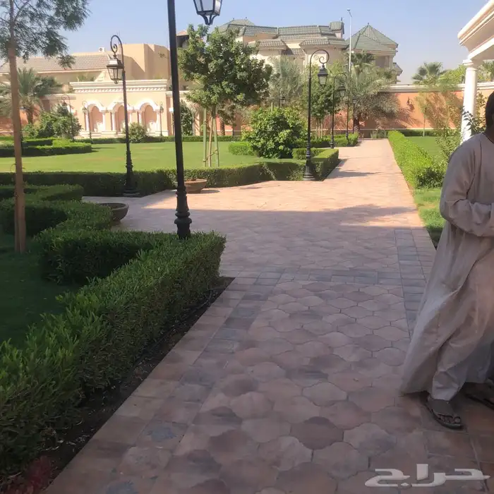 زرع طبيعي واشجار طبيعيه وشبكات راي وثيل طبيعي 1