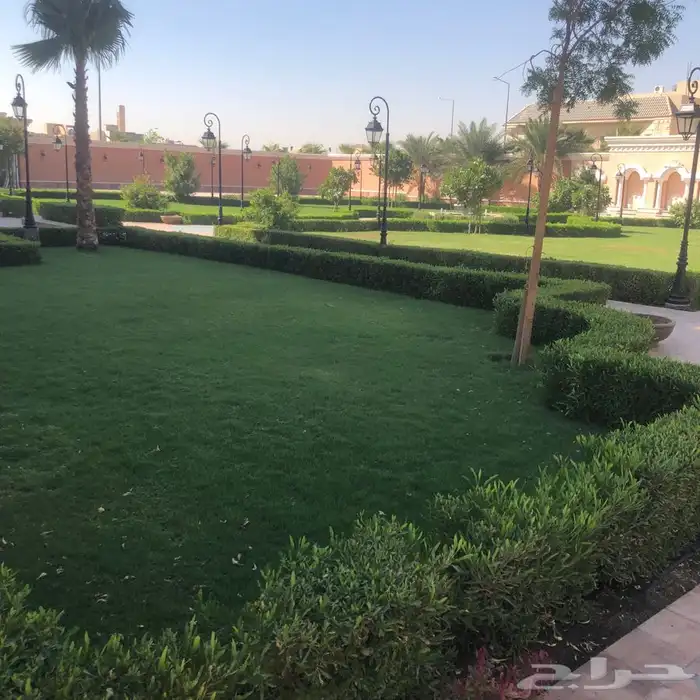 زرع طبيعي واشجار طبيعيه وشبكات راي وثيل طبيعي 4