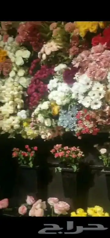 محل ابو ريان للورد وتغليف الهدايا لجميع المناسبات 4