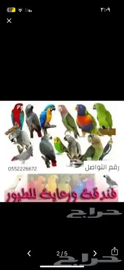 ترويض وتوليف وفندقه وعيادة 2