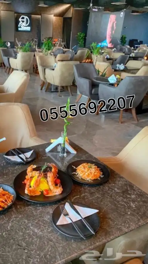 كراسي كنب لاونج كافيهات مطاعم مجالس ملكي زان مصري ضمان 71