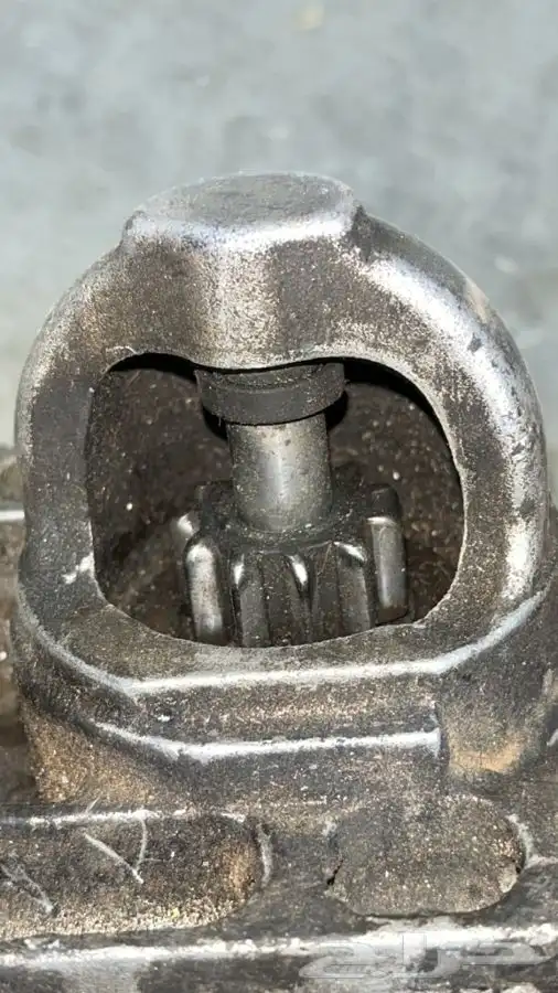 سلف جمس 2