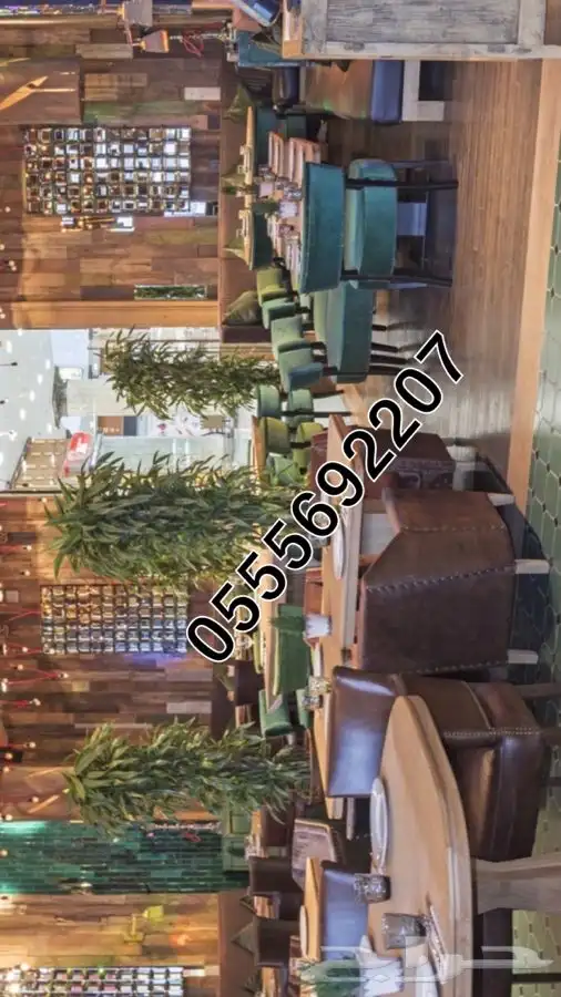كراسي كنب لاونج كافيهات مطاعم مجالس ملكي زان مصري ضمان 78