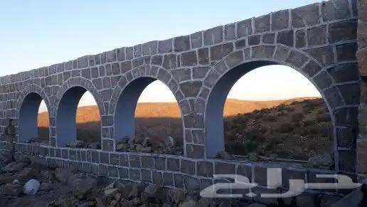 مقاول شبوك حجر وتراث وتوريد انواع النخل الدرعية العماريه 2
