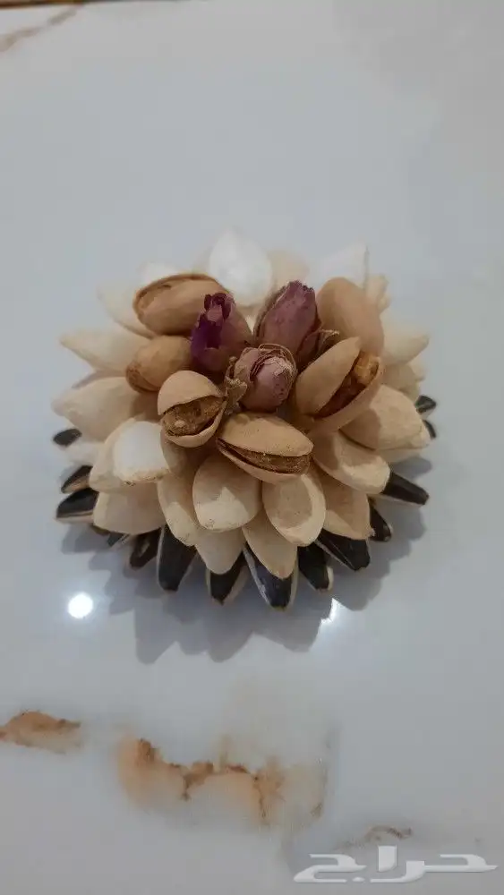 الضيافة المتميزة 1