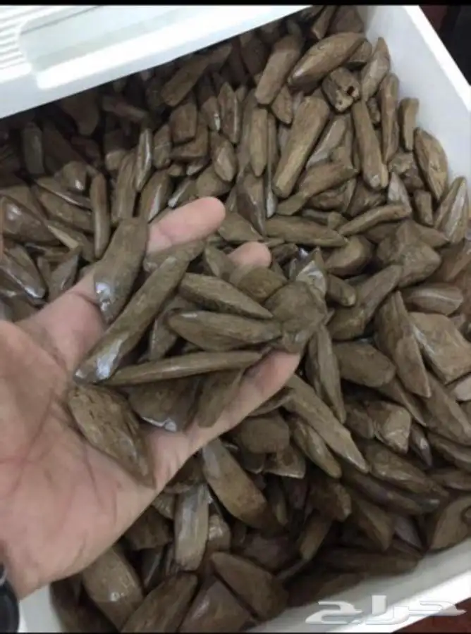 عود البخور الفاخر بياض وجه للمناسبات والاعياد 1