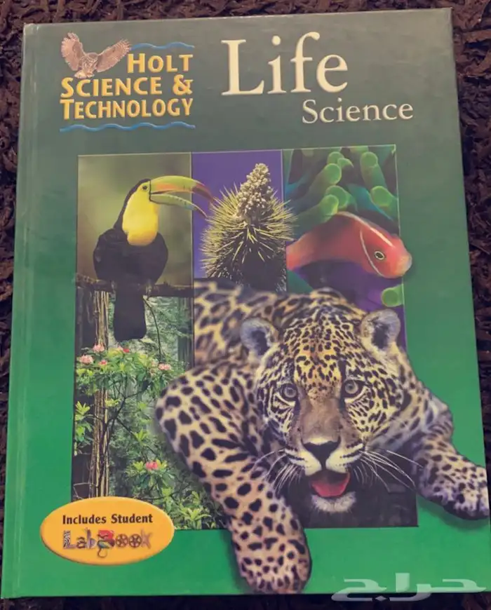 للبيع كتب انترناشونال 13