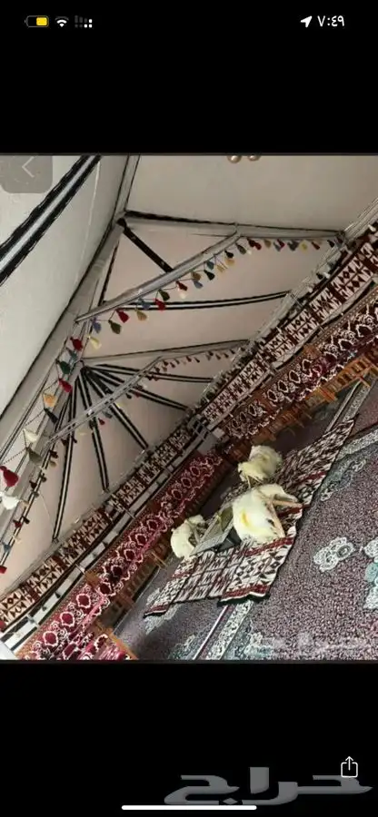 للبيع البيوت الشعر الخيام 11