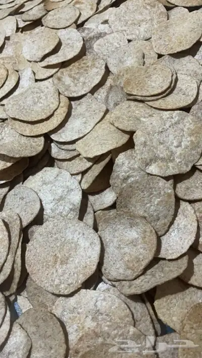 مطازيز امي نوره بدقيق (المعيه) القصيم 0