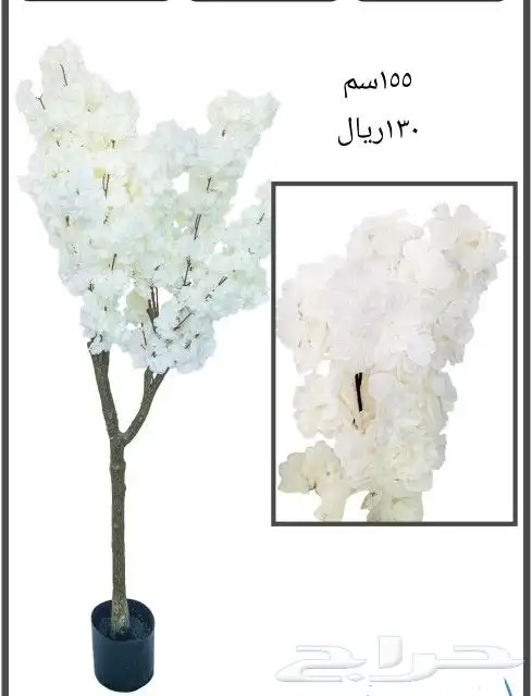 شجر بورد ملون 4