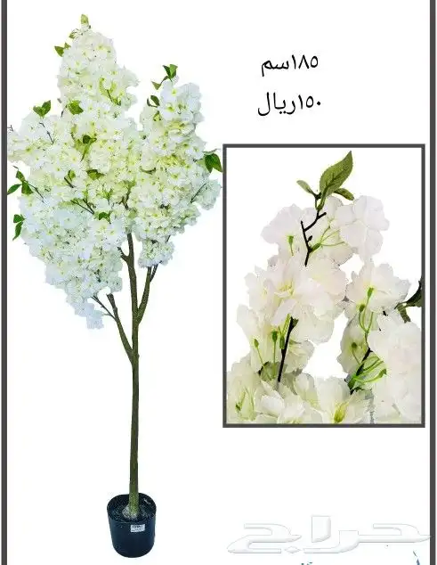 شجر بورد ملون 6