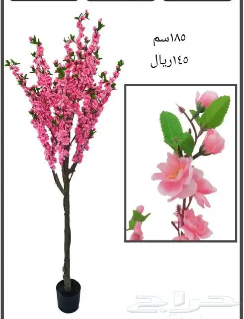 شجر بورد ملون 5