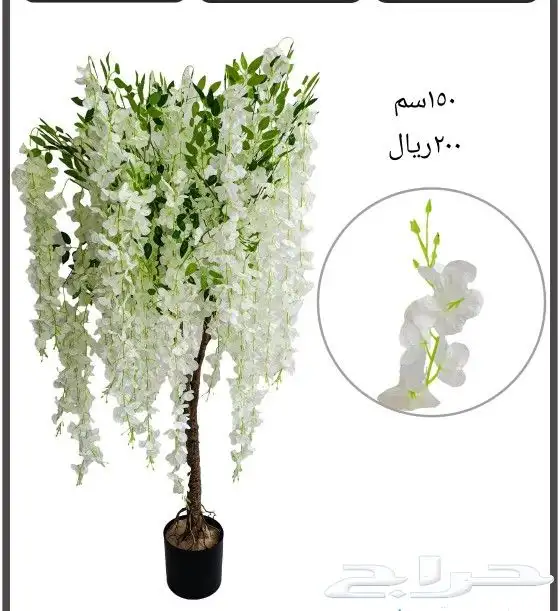 شجر بورد ملون 7