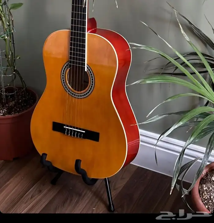 جيتار للبيع قيتار للبيع غيتار للبيع 0