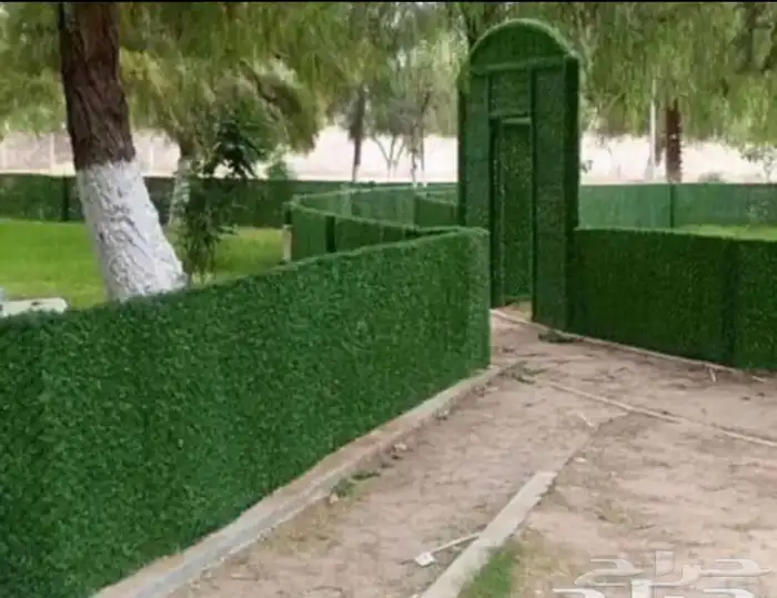 حاجز وساتر عشبي للحدائق والاستراحات 11