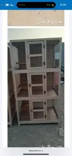 محاكر قفص 30