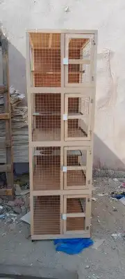 محاكر قفص 38