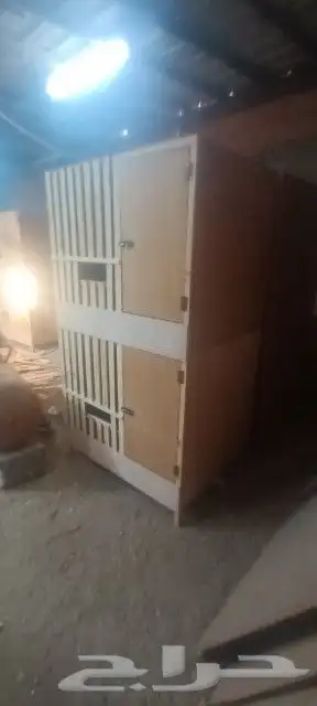 محاكر قفص 34