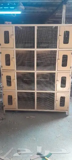محاكر قفص 10