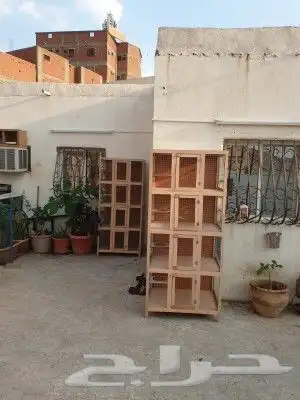 محاكر قفص 36