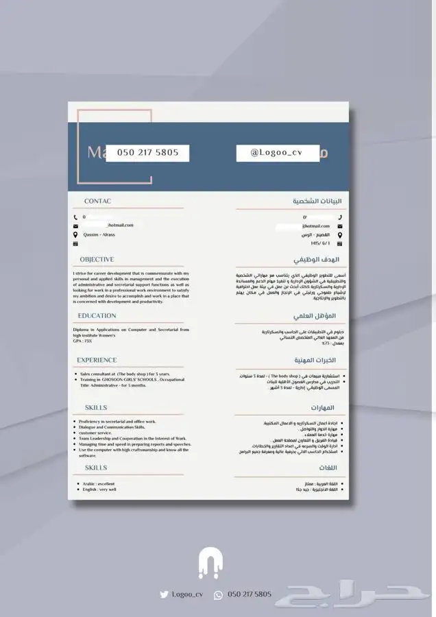 سيرة ذاتية احترافية 2