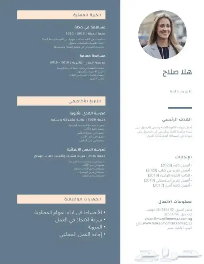 سيرة ذاتية احترافيه وبسعر منافس 2