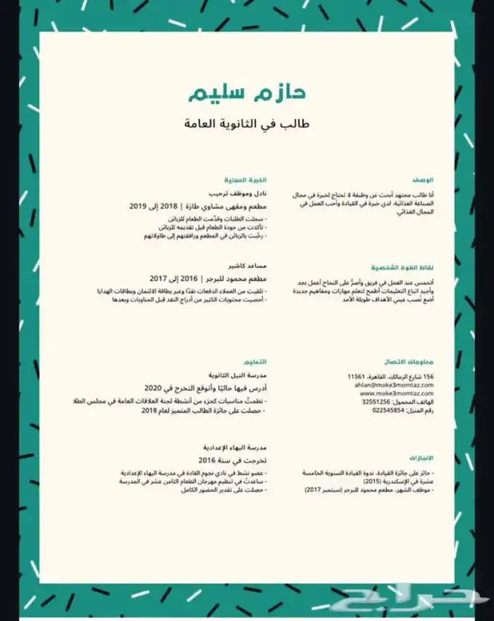 سيرة ذاتية احترافيه وبسعر منافس 0