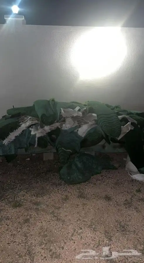 نجيلة 1
